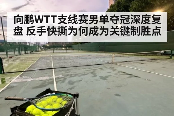 向鹏WTT支线赛男单夺冠深度复盘 反手快撕为何成为关键制胜点