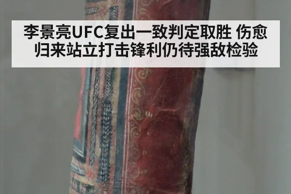 李景亮UFC复出一致判定取胜 伤愈归来站立打击锋利仍待强敌检验